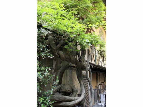 Apartment Margutta image 20